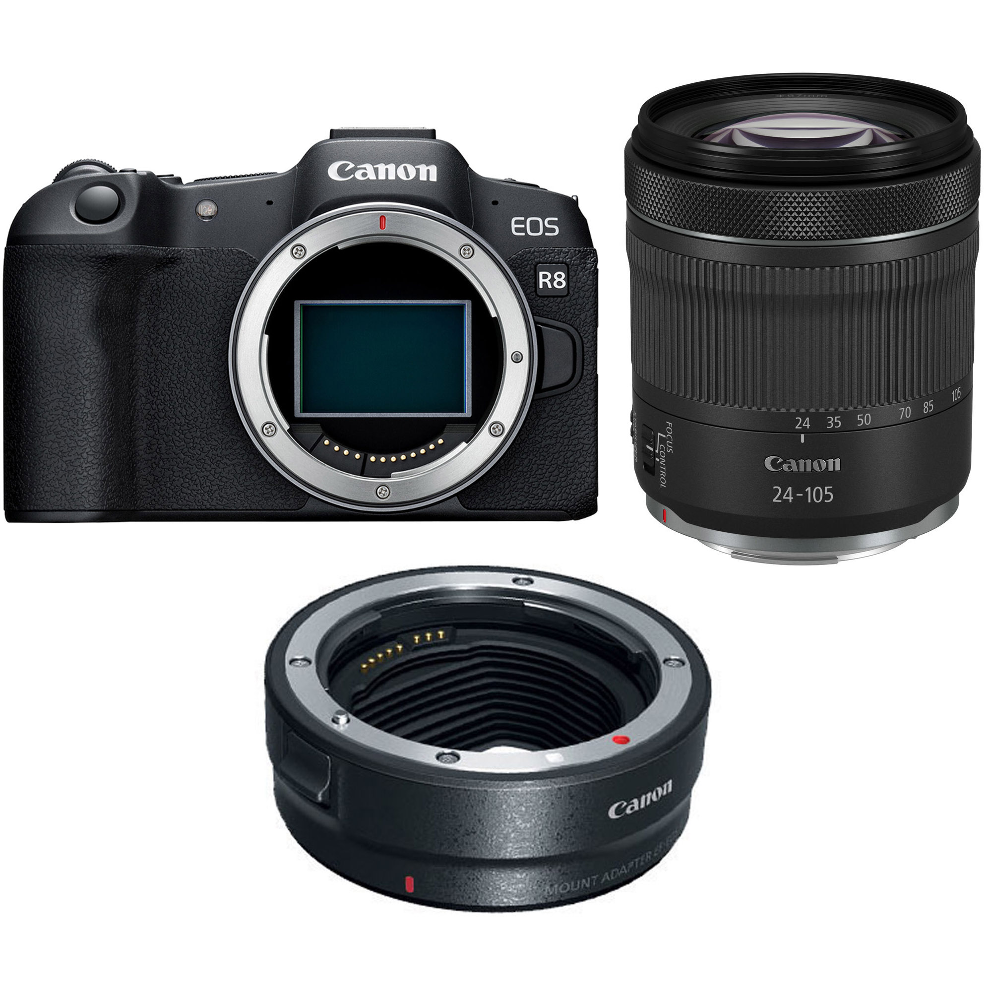 Canon EOS R8 18-150 + EF-EOS R mount adapter